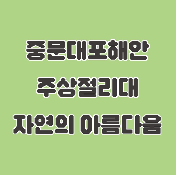 중문대포해안주상절리대