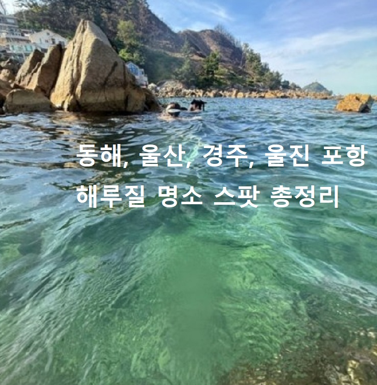 경상도-울산-포항-경주-해루질-해녀체험-스팟-포인트