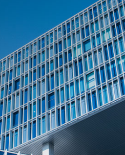 샤페론 주가전망 코로나관련주 유상증자 상장폐지 누세핀