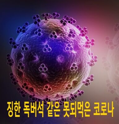 코로나예방접종