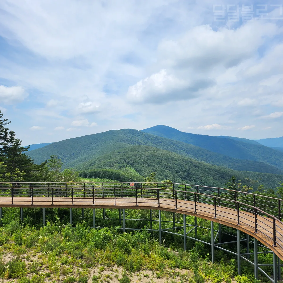 정선-파크로쉬-가리왕산-케이블카-정상