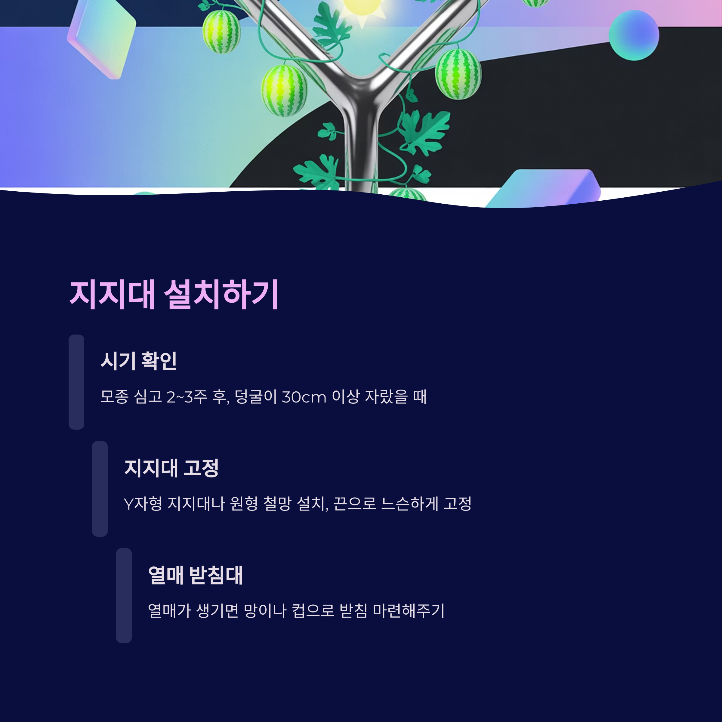 지지대 설치 – 줄기와 열매 무게 대비 필수 작업