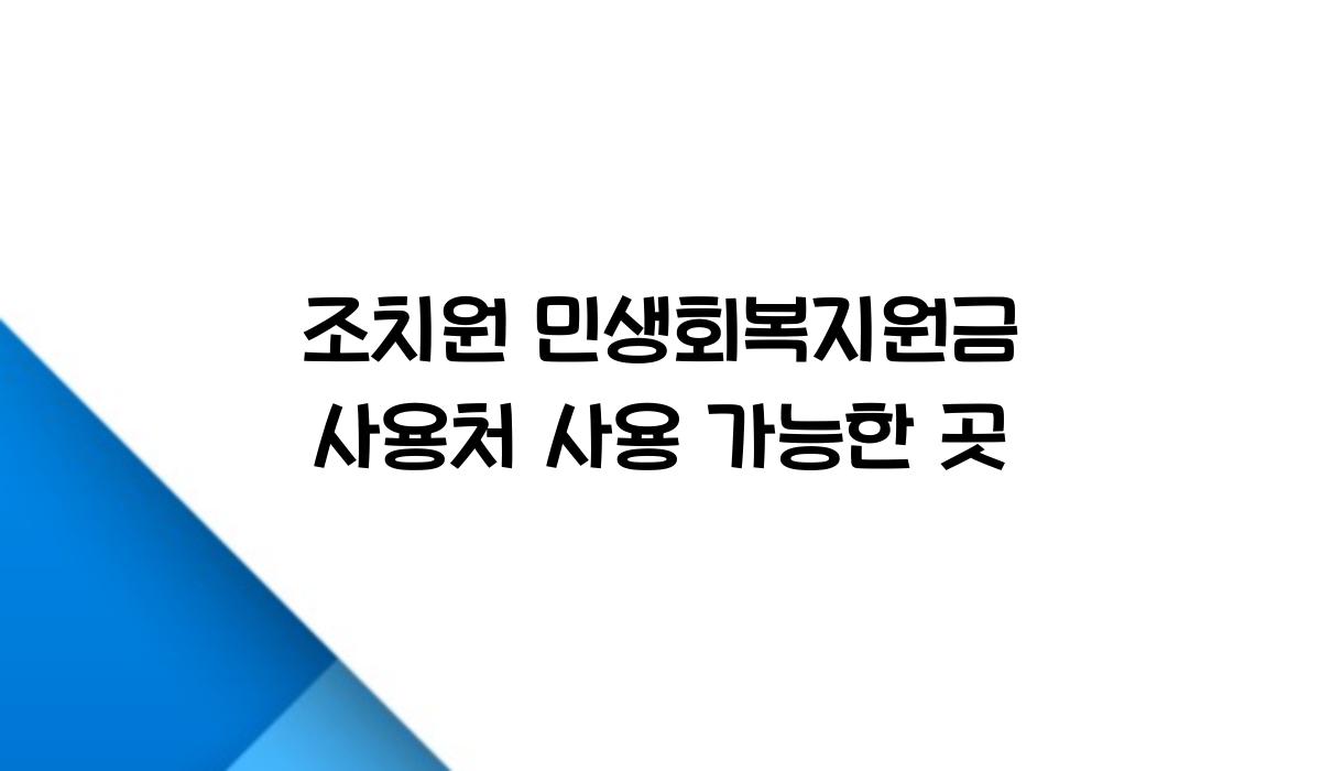 조치원 민생회복지원금 사용처 사용 가능한 곳