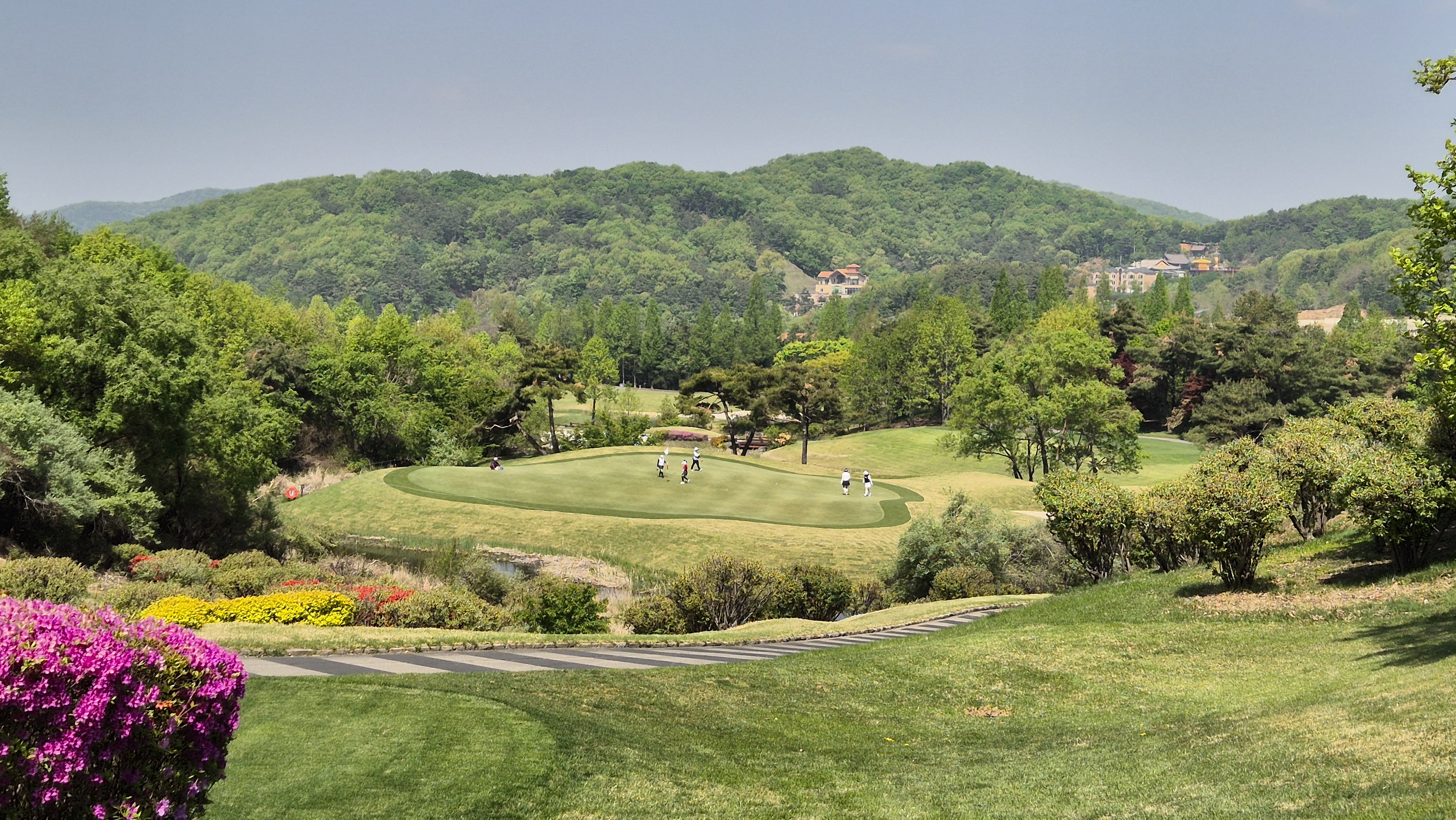 마에스트로cc 코스