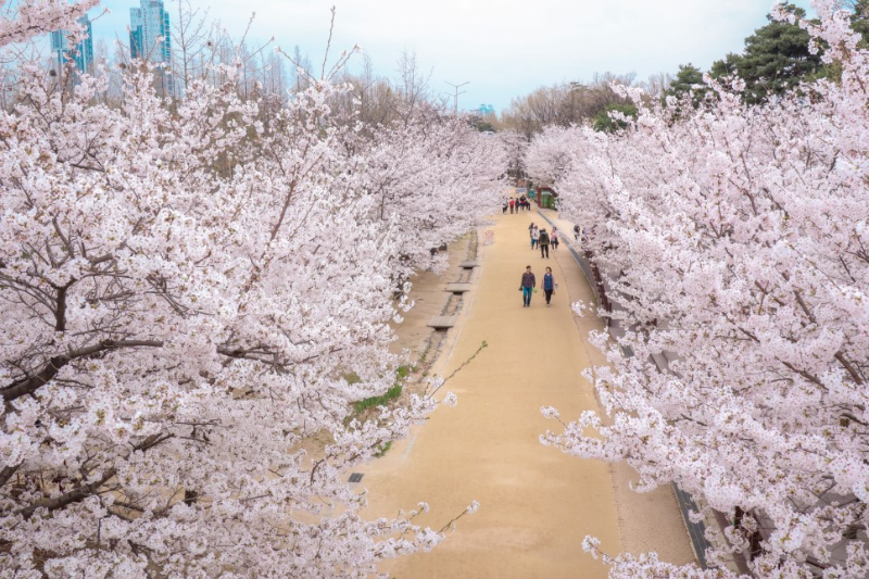 서울숲