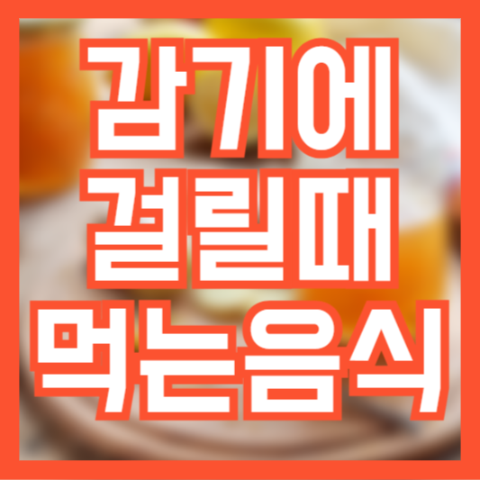 감기에 좋은 음식 심할때 초기에 꼭 먹는 필수 음식!