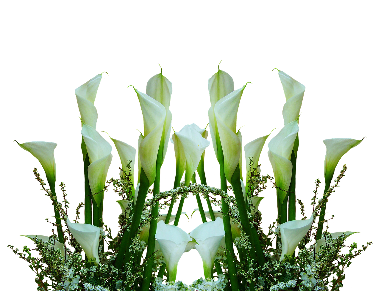 ์ฉ์ธ ๊ฐ์ฑ ์นดํ ๋ฌต๋ฆฌ459