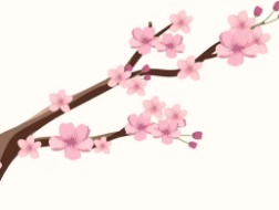 서울-벚꽃-개화시기-9