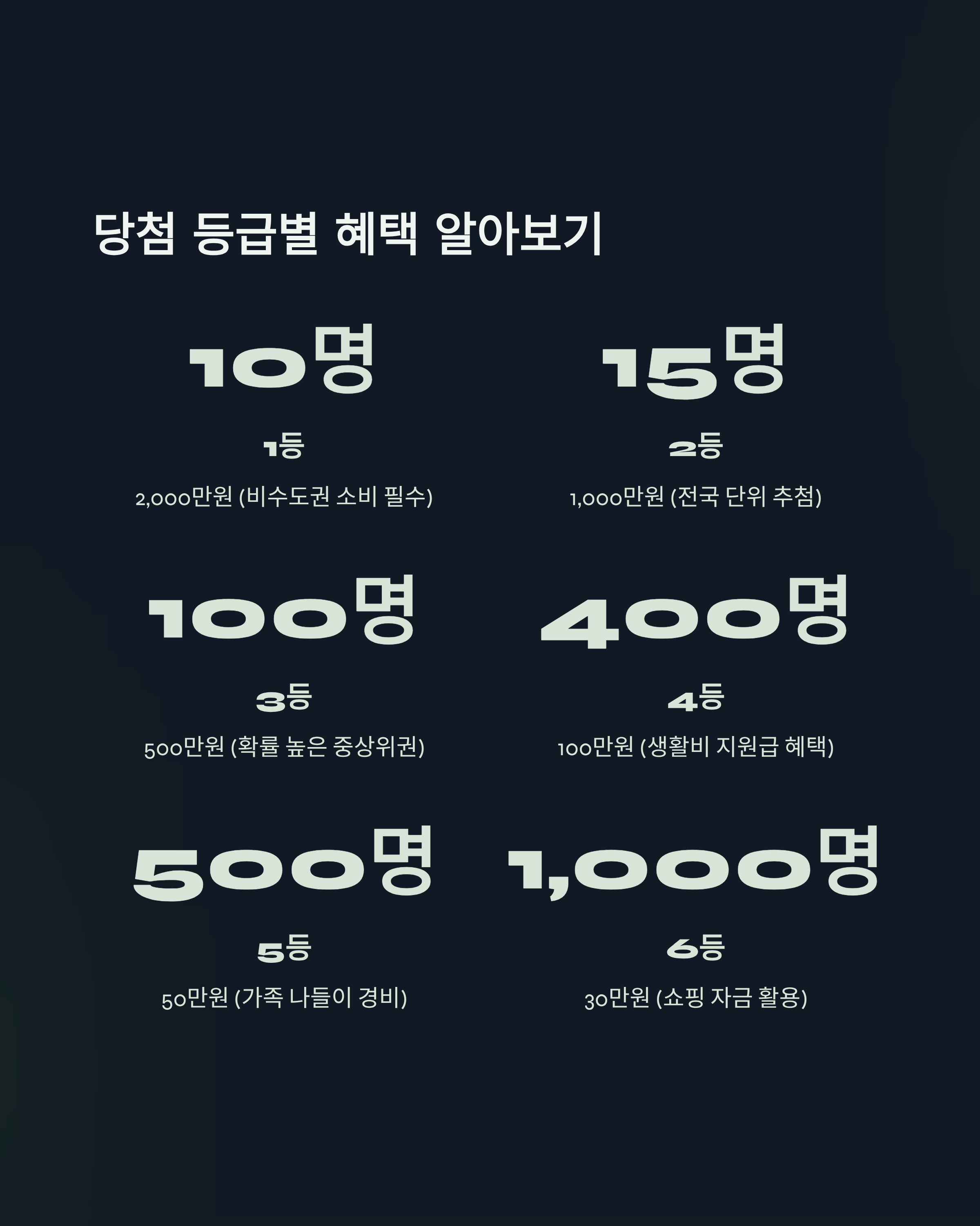 상생소비복권관련사진