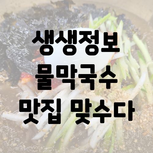 생생정보 물막국수 맛집 맞수다