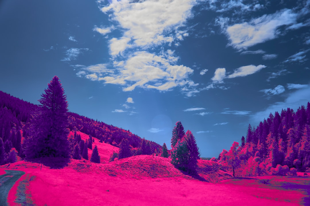 Dream Interpretation Location