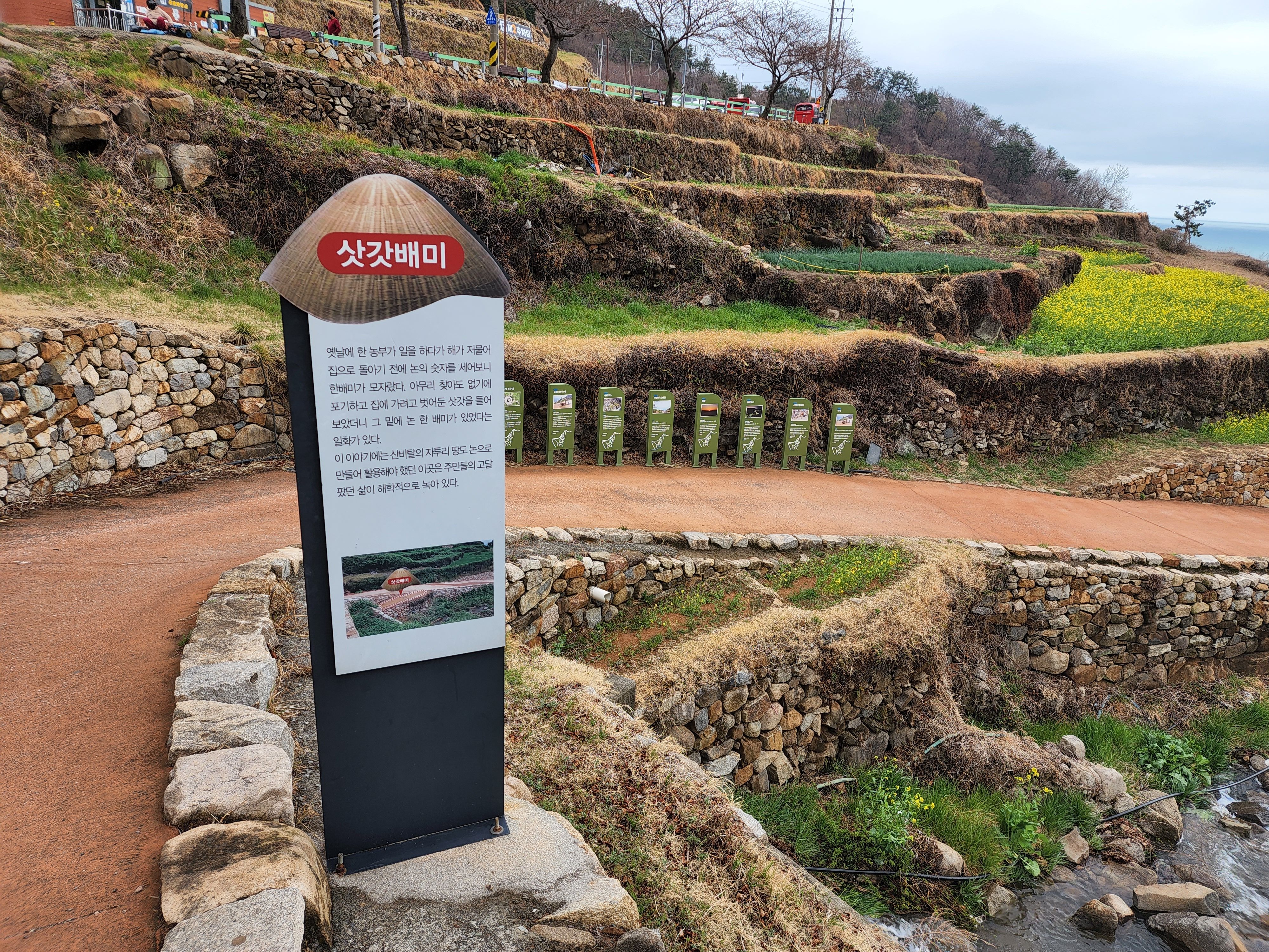 삿갓매미 설명해놓은 표지판