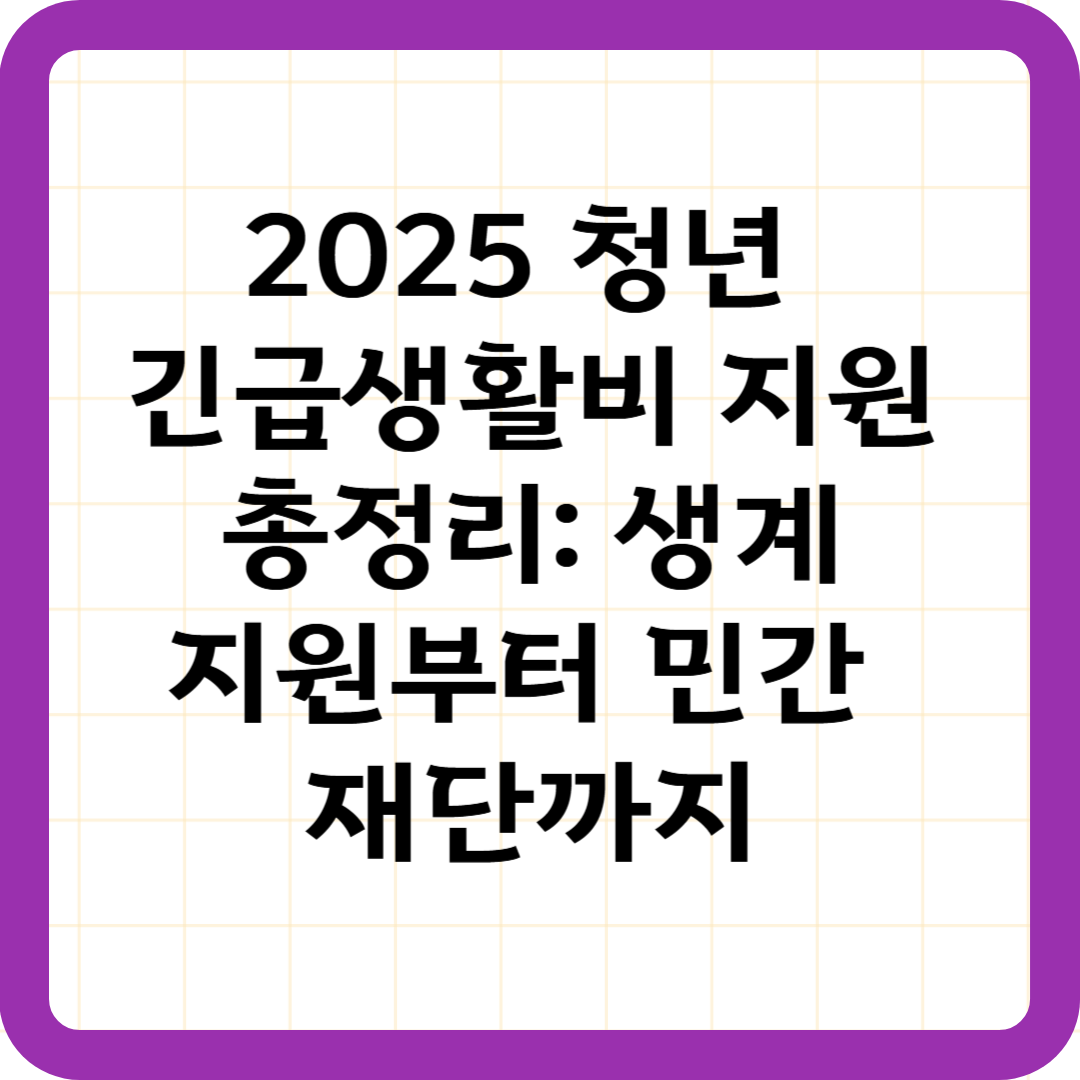 2025 청년 긴급생활비 지원 총정리: 생계지원부터 민간 재단까지