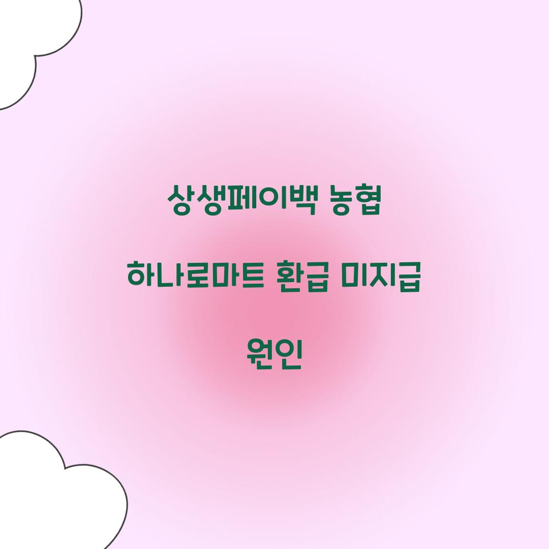 상생페이백 농협 하나로마트 환급 미지급 원인