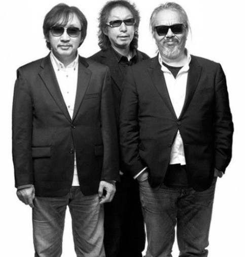 들국화 관련 사진