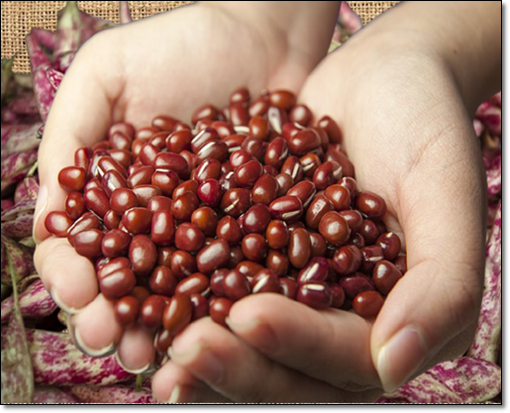 독소 배출에 도움이 되는 팥물 우리기