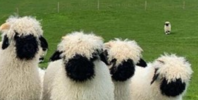 사천 아쿠아리움