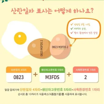 계란에 적힌 번호가 정확히 뭘까 계란 난각번호 4번 제대로 알고 먹고 있나요_3