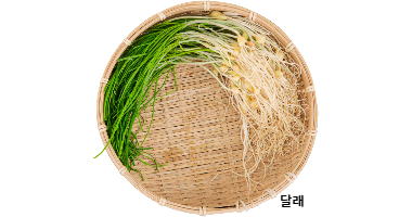 봄나물 달래