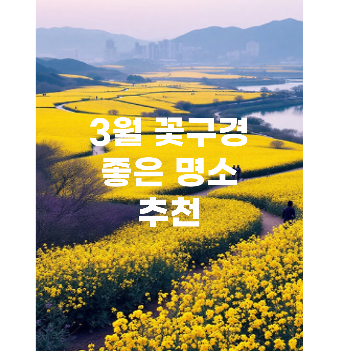 꽃밭 이미지