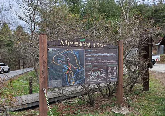 옥화자연휴양림