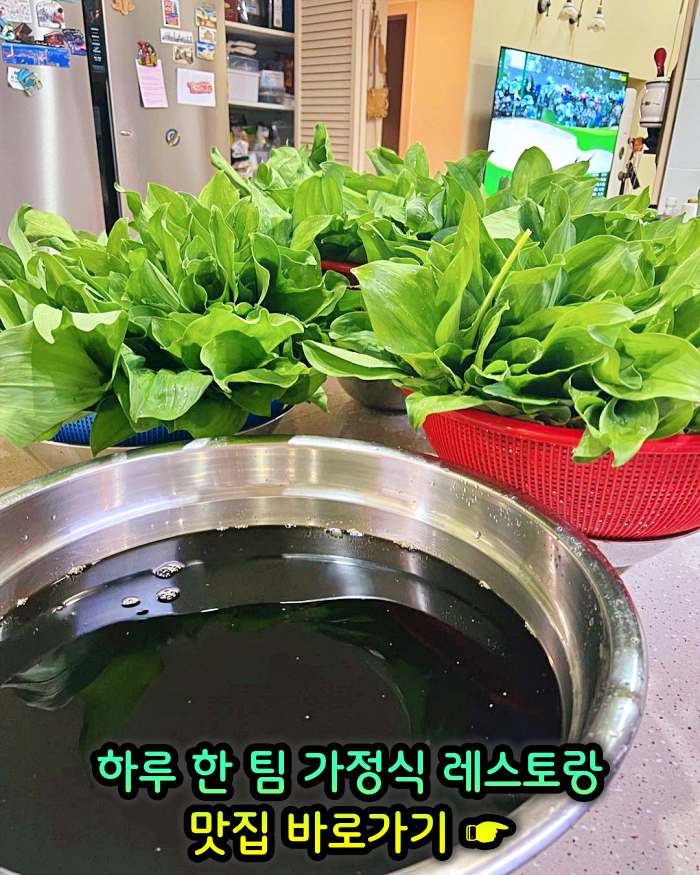 강원 강릉 맛집 하루 한 팀 가정식 레스토랑 귀촌 요리