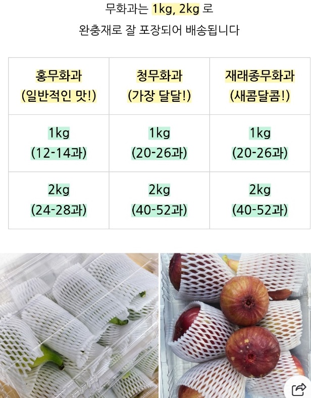 영암-재래종-무화과-천안기
