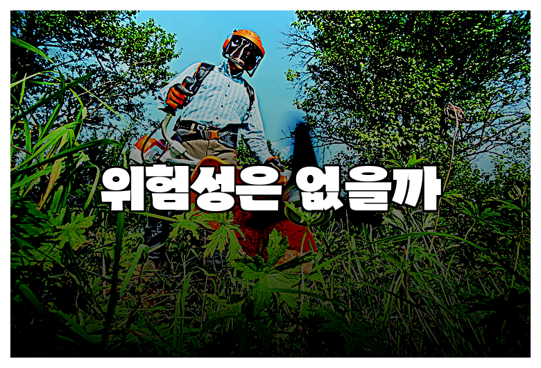 위험성은 없을까