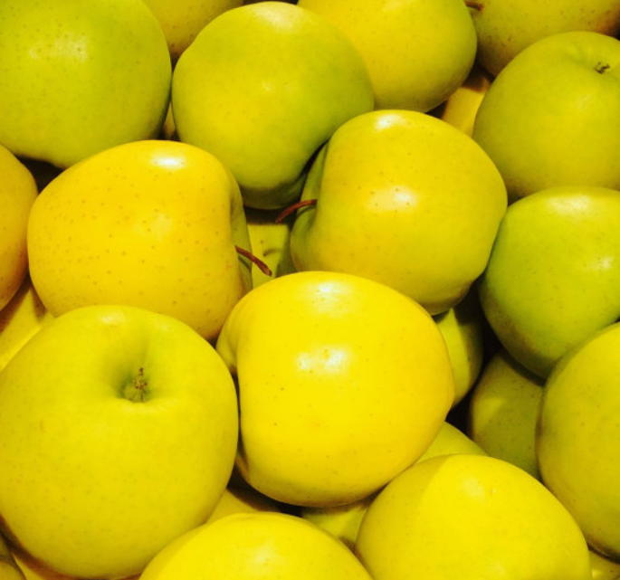 노화-심장병-암-예방-하는-보석-같은-과일