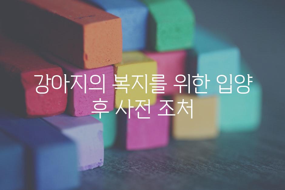 강아지의 복지를 위한 입양 후 사전 조처