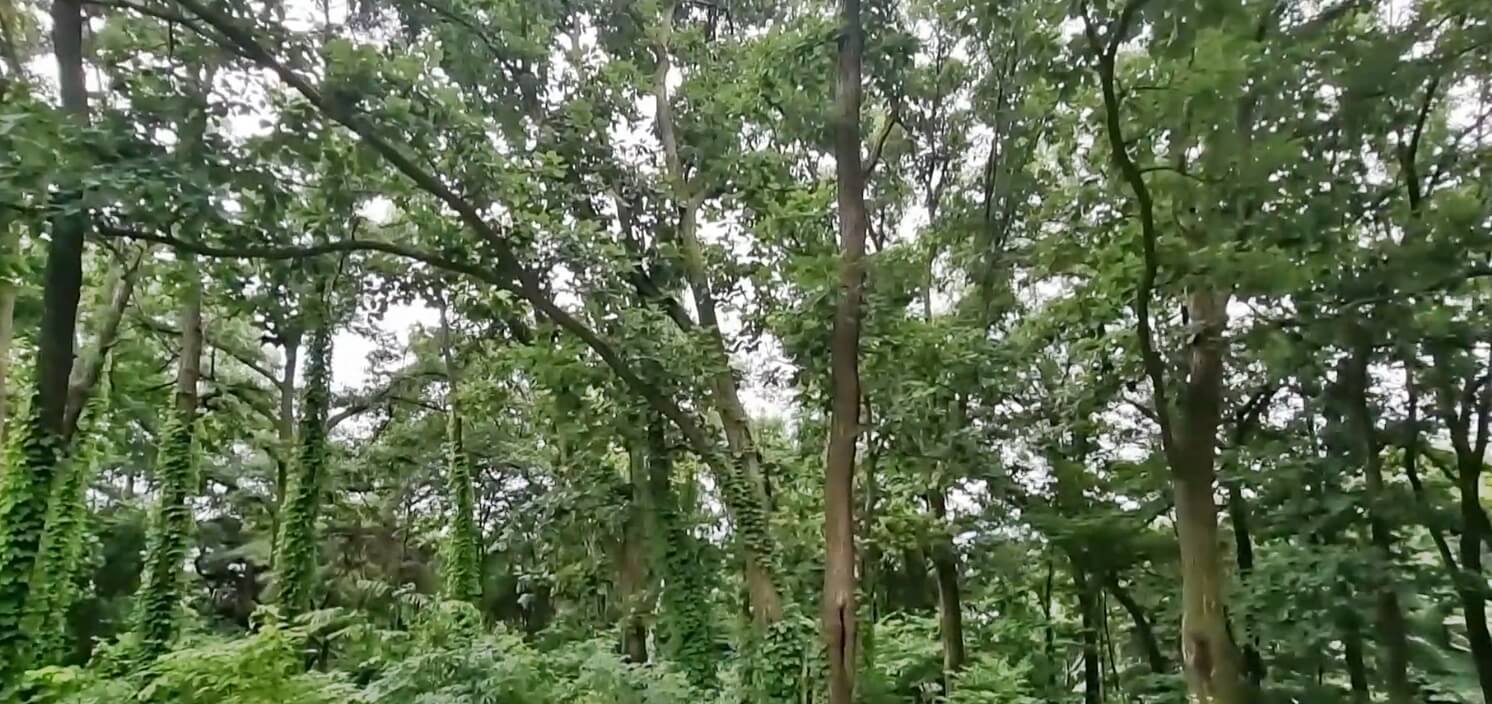 탄금대공원