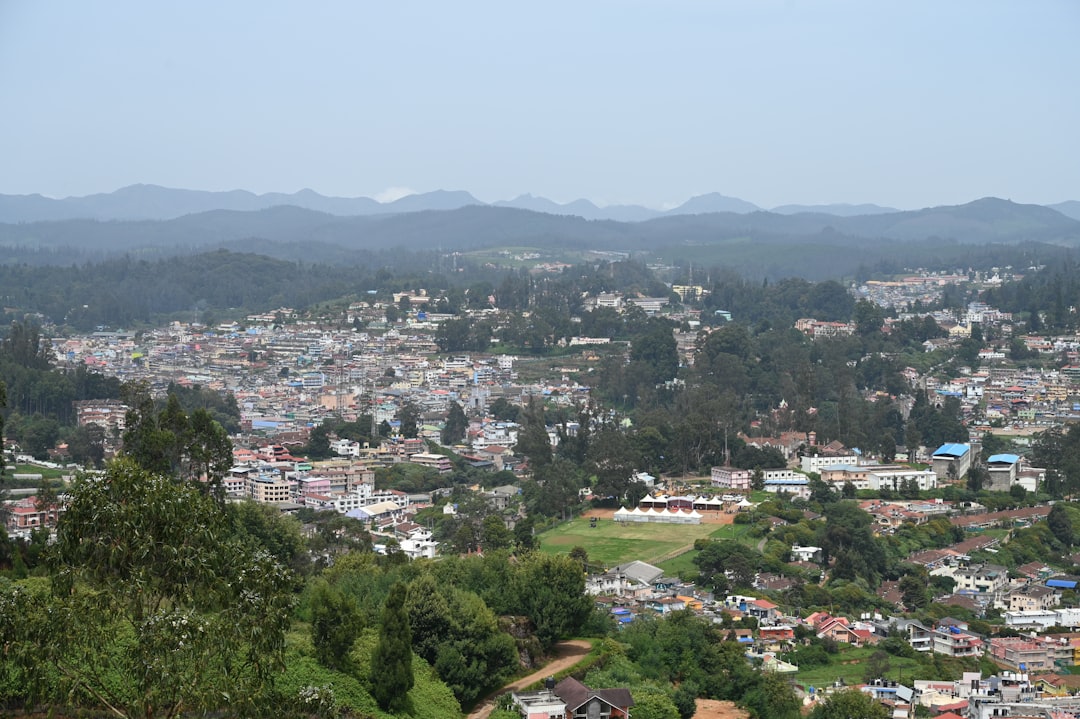 Amtaedo