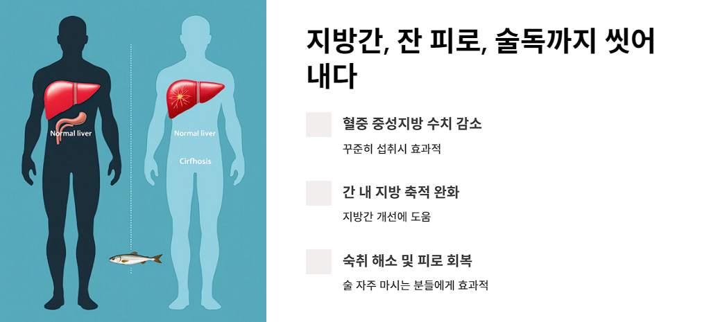 지방간, 잔 피로, 술독까지 씻어내다