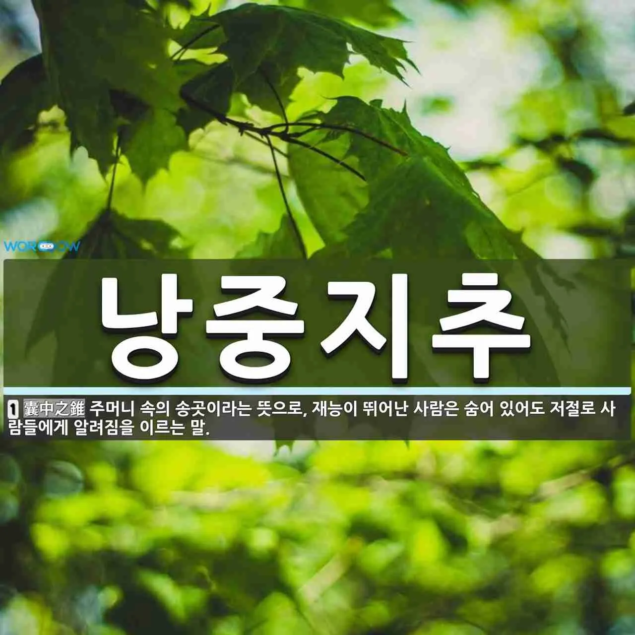 낭중지추 뜻 유래 한자 비슷한 말 예문 영어 속담 반대말_4