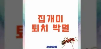 해충 퇴치 개미 박멸 설탕과 베이킹소다 통로 차단_7