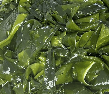 바지락 미역국 맛있게 끓이는 법 (끓이는 방법) 알아보기