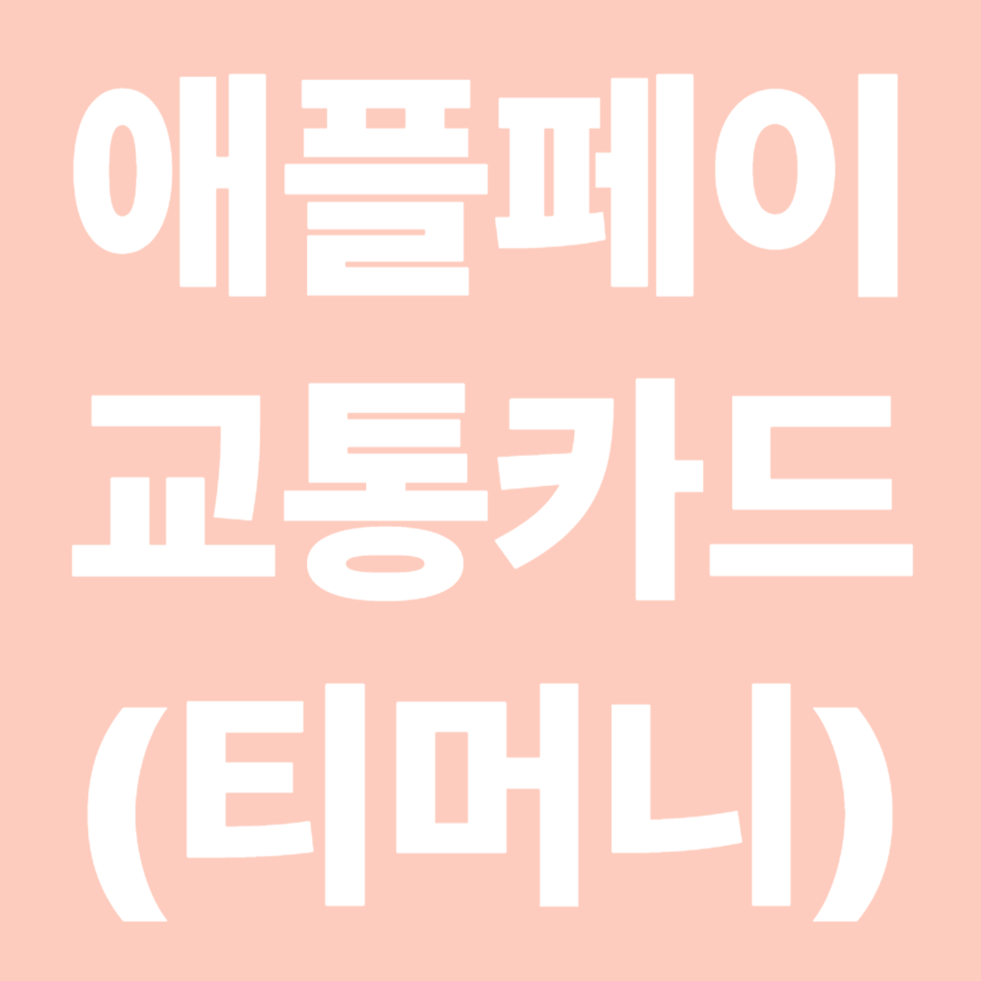 애플페이 교통카드(티머니) 연동