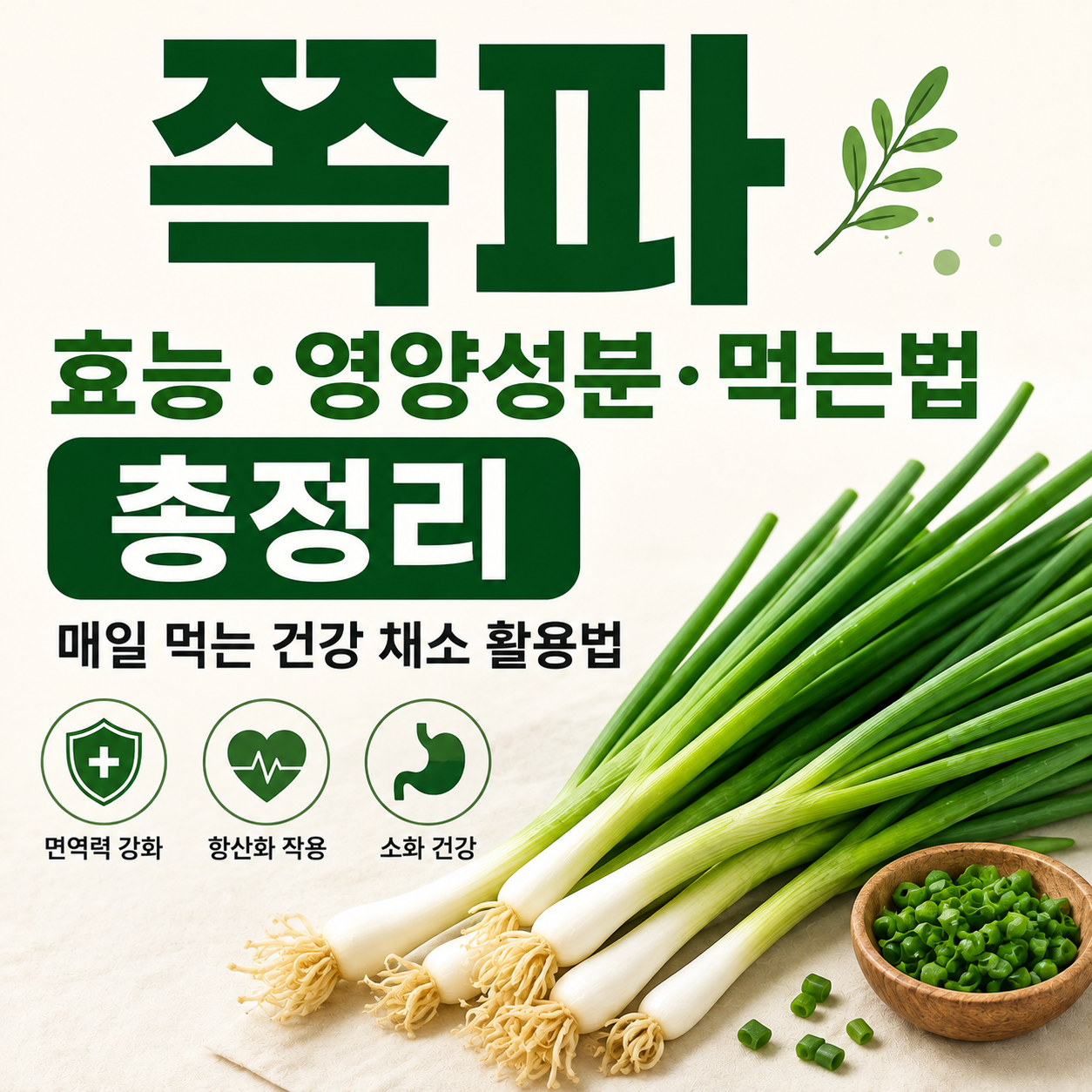 쪽파 효능