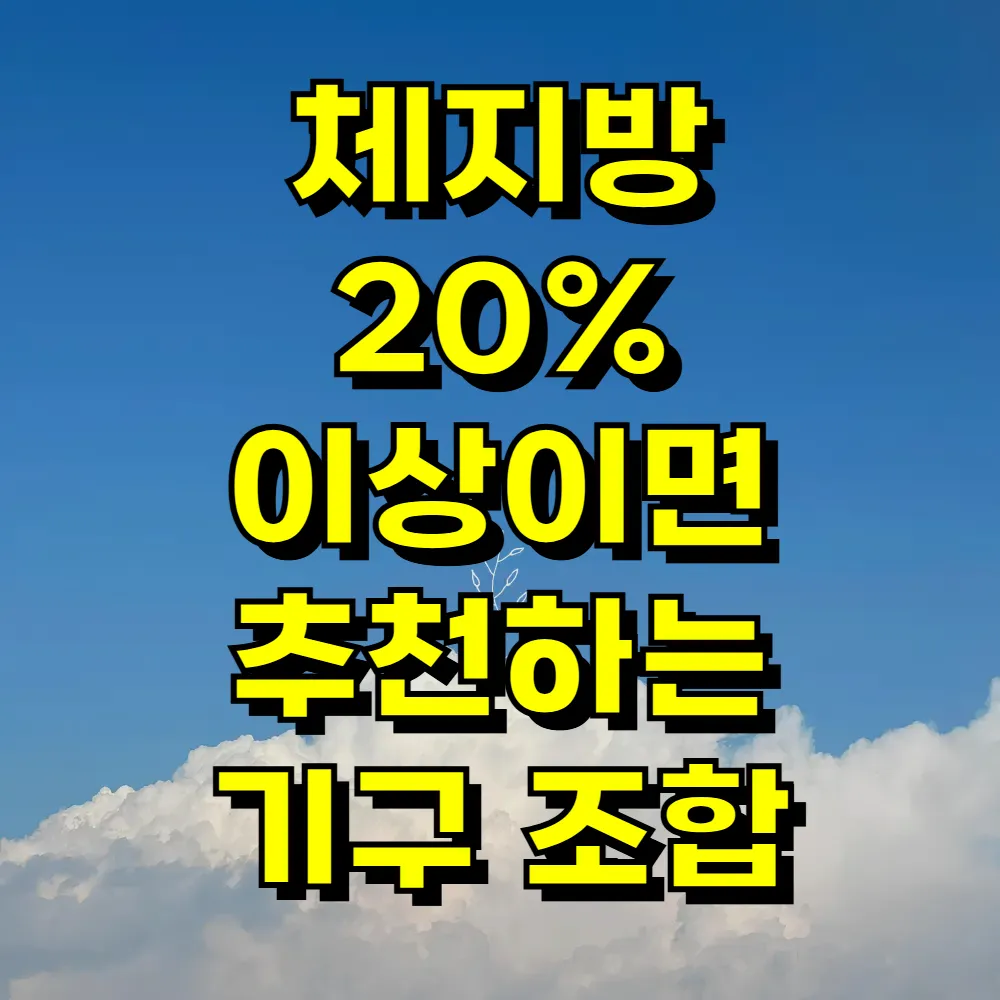 체지방 20 이상이면 추천하는 기구 조합