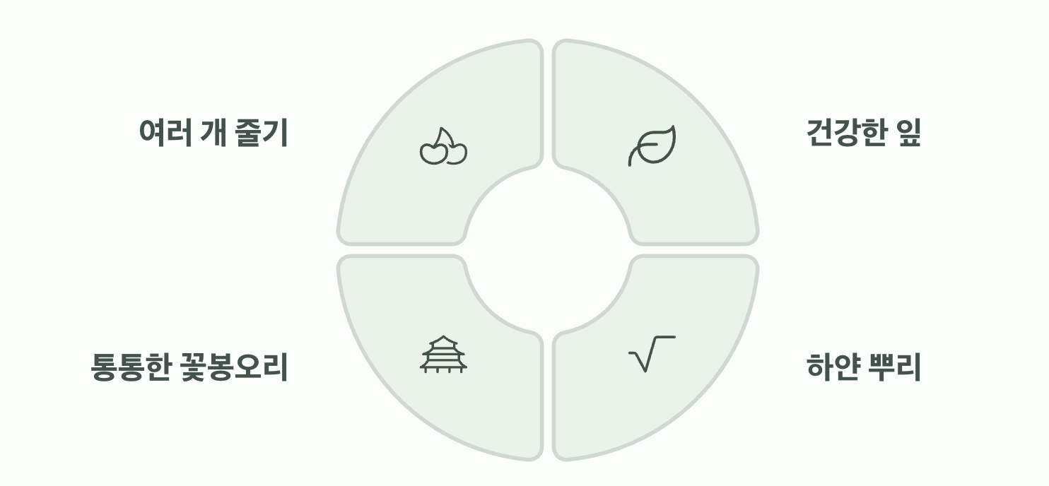 이제 당신도 전문가처럼 고를 수 있습니다