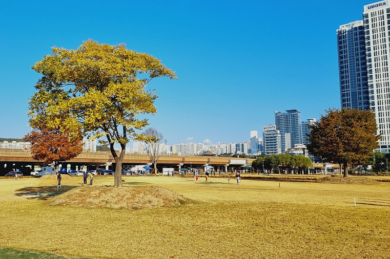 울산광역시 남구 태화강파크골프장