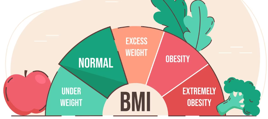 기초 대사율에 영향을 미치는 요인은 무엇인가?