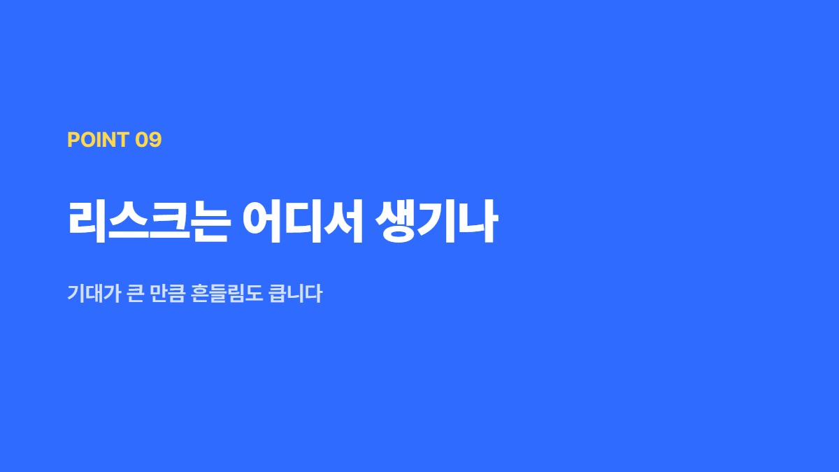 리스크는 어디서 생기나 — 기대가 큰 만큼 흔들림도 큽니다