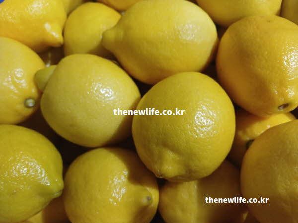 레몬수 효능 피부 미용 비타민 C 폴리페놀