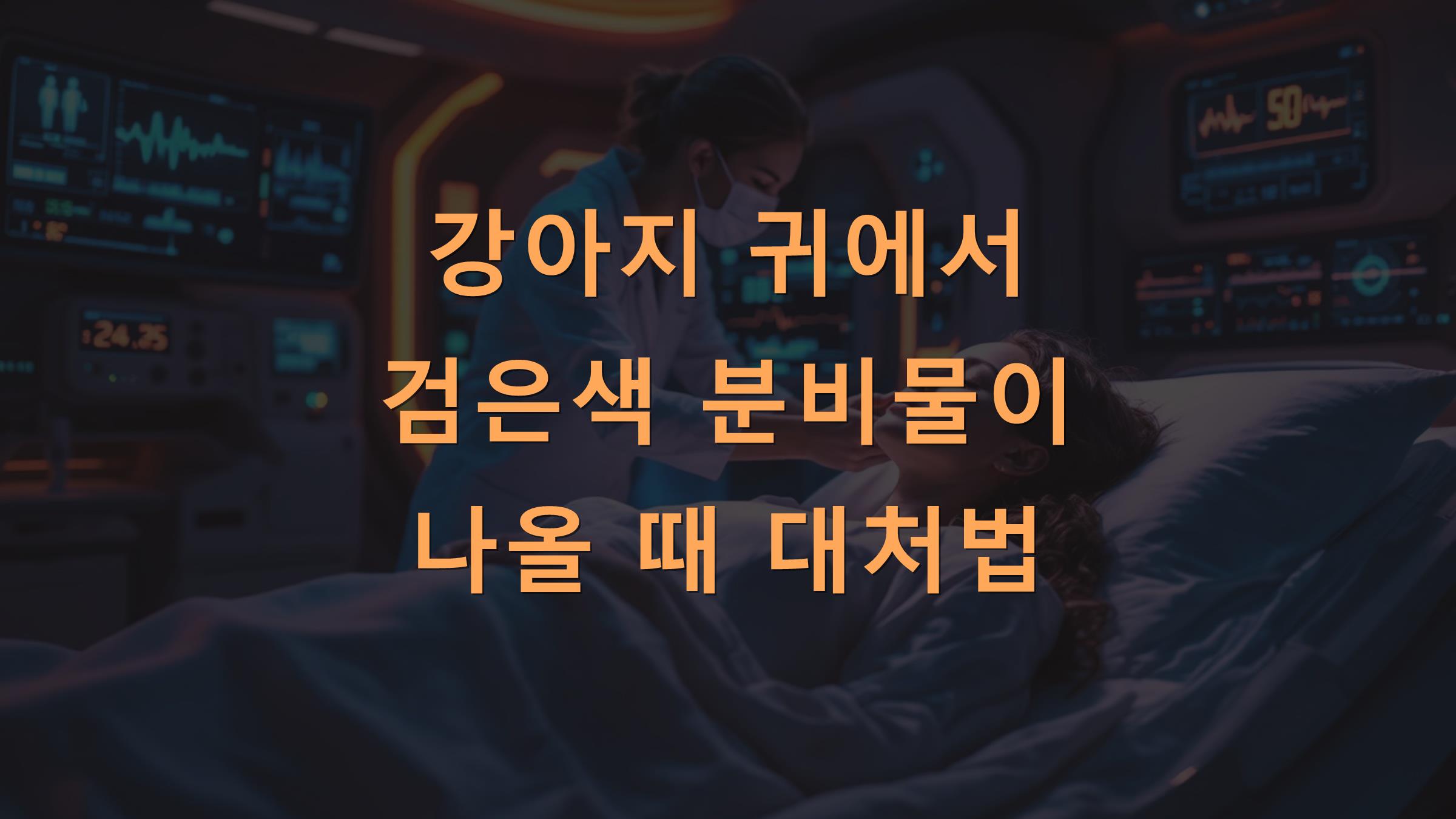 강아지 귀에서 검은색 분비물이 나올 때 대처법
