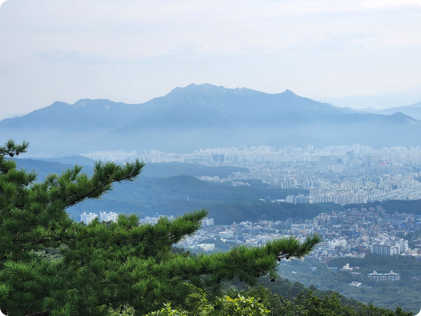 노원구 아파트 전경