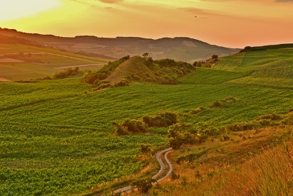 영농 경력 5년 쉽게 하는 법: 농지연금