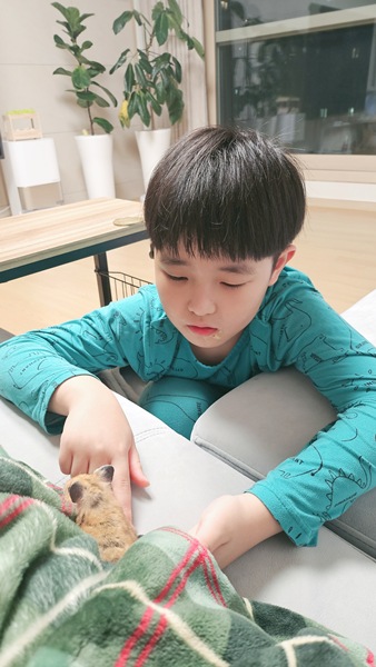 내가 키우는 골든햄스터와 친해지는 방법
