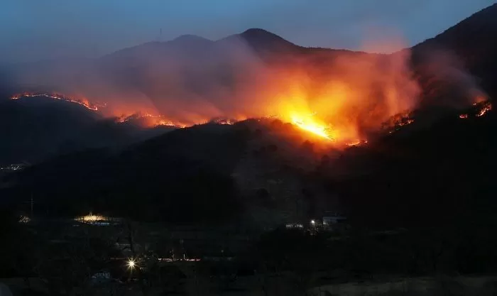 산불원인