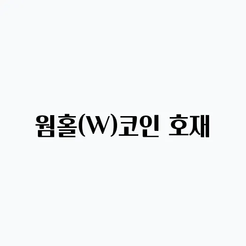 웜홀(W)코인 호재, 소개 및 전망
